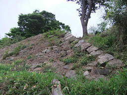 resize0067.jpg