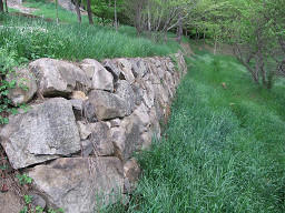 resize0068.jpg