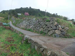 resize0070.jpg