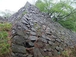 resize0072.jpg