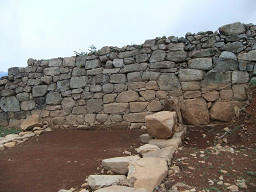 resize0082.jpg
