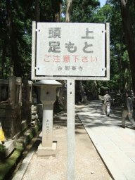 kouya0093.jpg