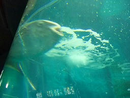 DSCF0171.jpg