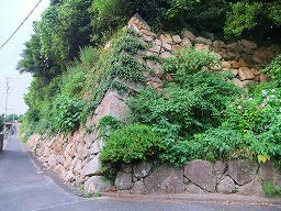DSCF0236.jpg