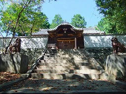 DSCF0518.jpg