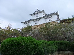 DSCF0606.jpg