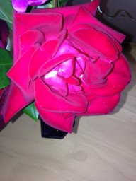 20130427.jpg