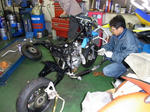 RIMG1275.jpg