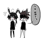 5.png
