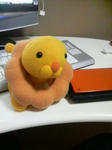 2010040720220000.jpg