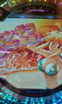 20100804124313.jpg