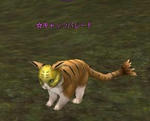 ae7d0412.JPG