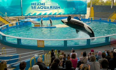 マイアミ水族館