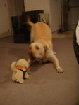 DSC02410.JPG