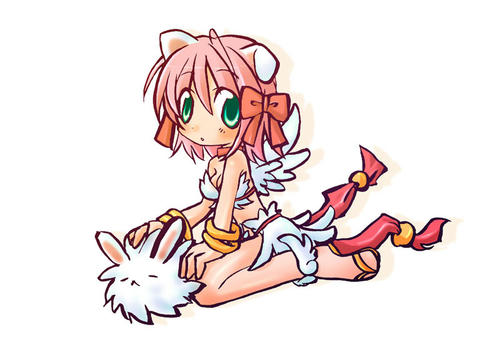 わんこ