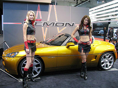 companion09.jpg