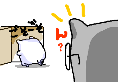 fimg_11195826868.png