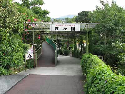 okinawa5_18.jpg