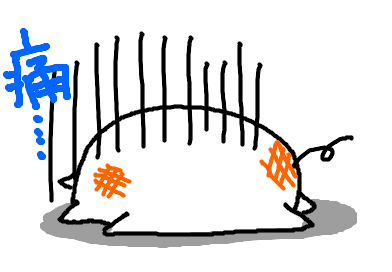 fimg_21197635448.png