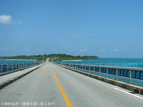 0312m_06.jpg