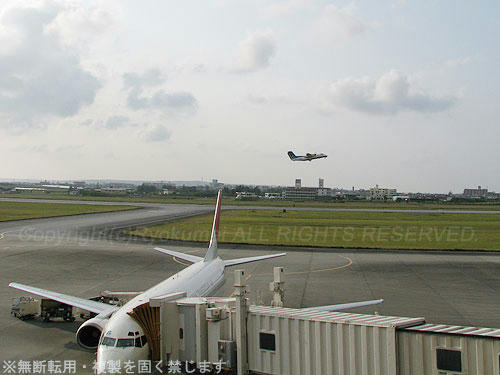 0312m_45.jpg