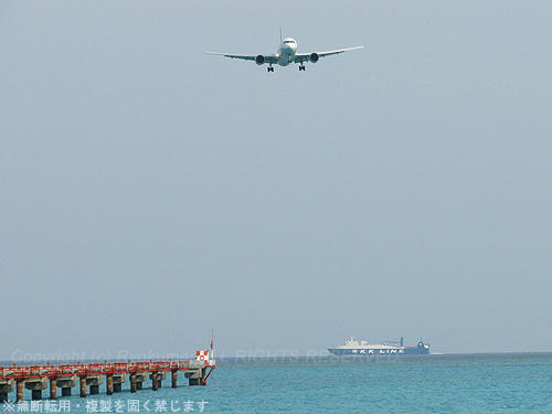 0313m_36.jpg