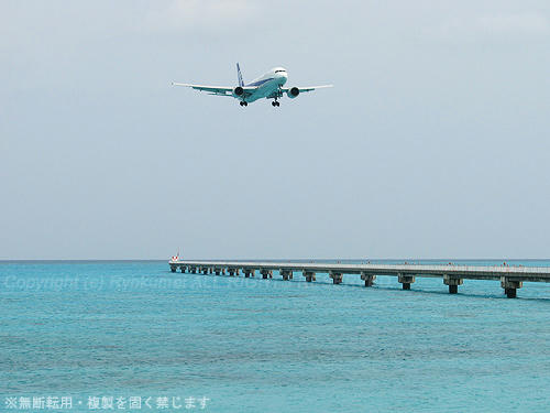 0313m_39.jpg