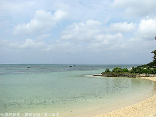 0313m_42.jpg