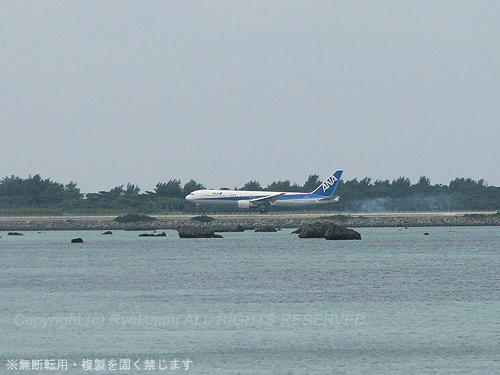 0313m_45.jpg