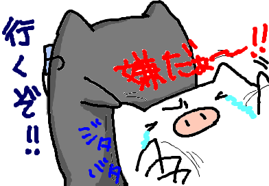 fimg_1224309403.png