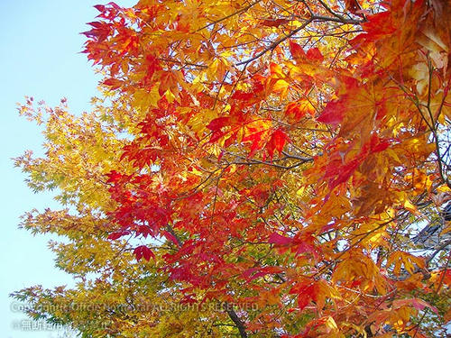 081016_06.jpg
