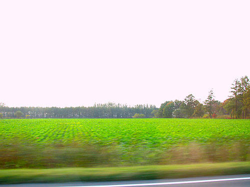 081017_25.jpg