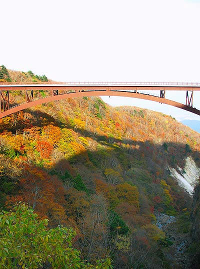 081022_05.jpg