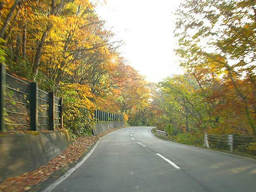 081022_18.jpg