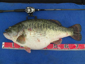 b_record2_295x221.jpg