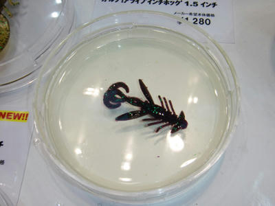 CIMG0095.JPG