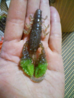 20100607214346.jpg