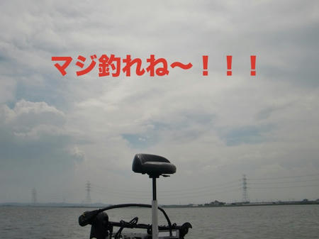 CIMG3294.JPG