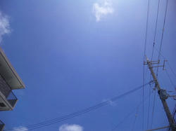 SH380069.JPG