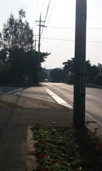 PAP_0080.JPG