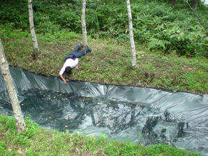 20080815113121.jpg