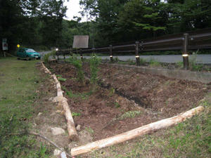 IMG_5928.jpg