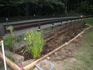 IMG_5927.jpg