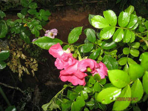 IMG_6639.jpg