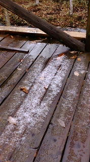 20091103113435.jpg