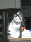 20070909221009.jpg