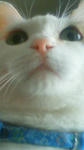 200902031500001.jpg