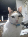 110430_205401.jpg