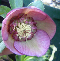 TS380395.JPG