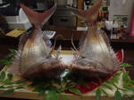 DSC01379.JPG